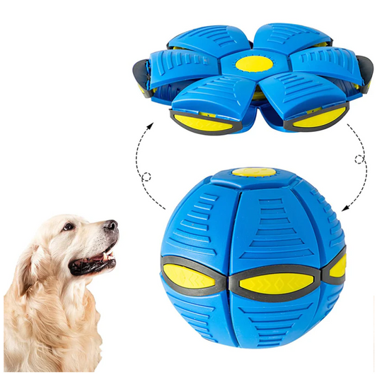 Honden Frisbee Bal | 1+1 GRATIS
